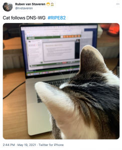 Cat following DNS-WG